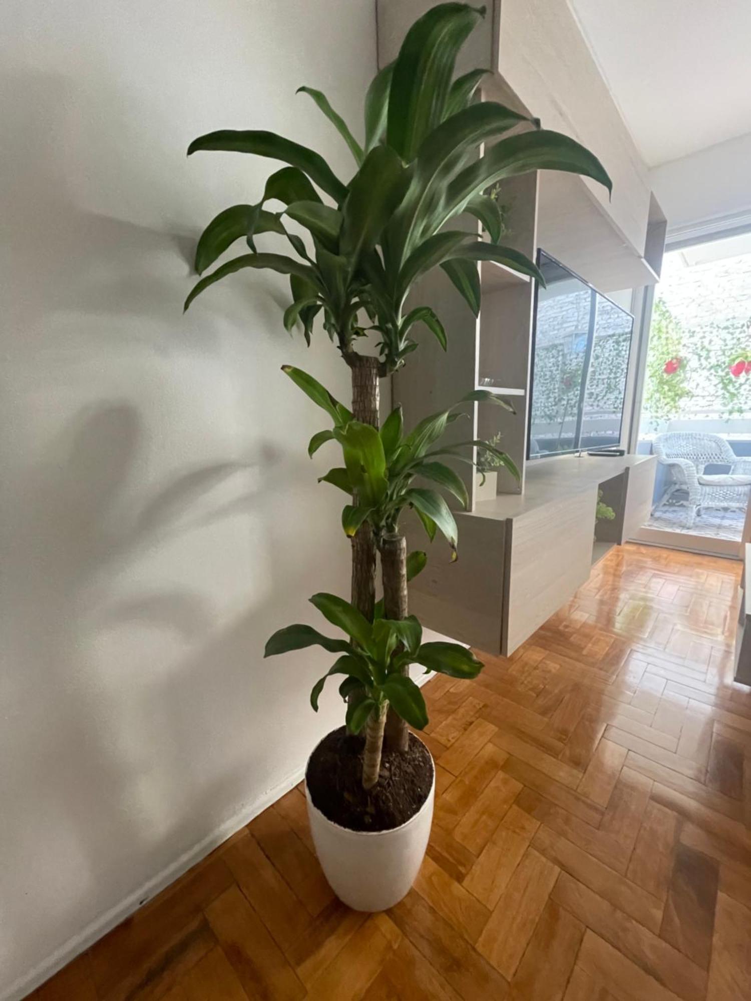 Departamento En Peatonal Mendoza Daire Dış mekan fotoğraf